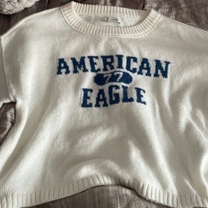 American eagle crop sweater